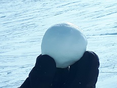 Schneeball